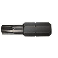 PAN - Torx 20 Bit - Schraubaufsatz - Zubehör - Stegplatten