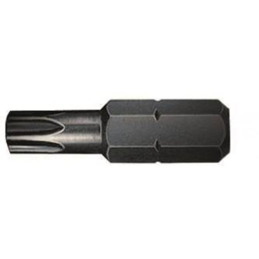 PAN - Torx 20 Bit - Schraubaufsatz - Zubehör - Stegplatten